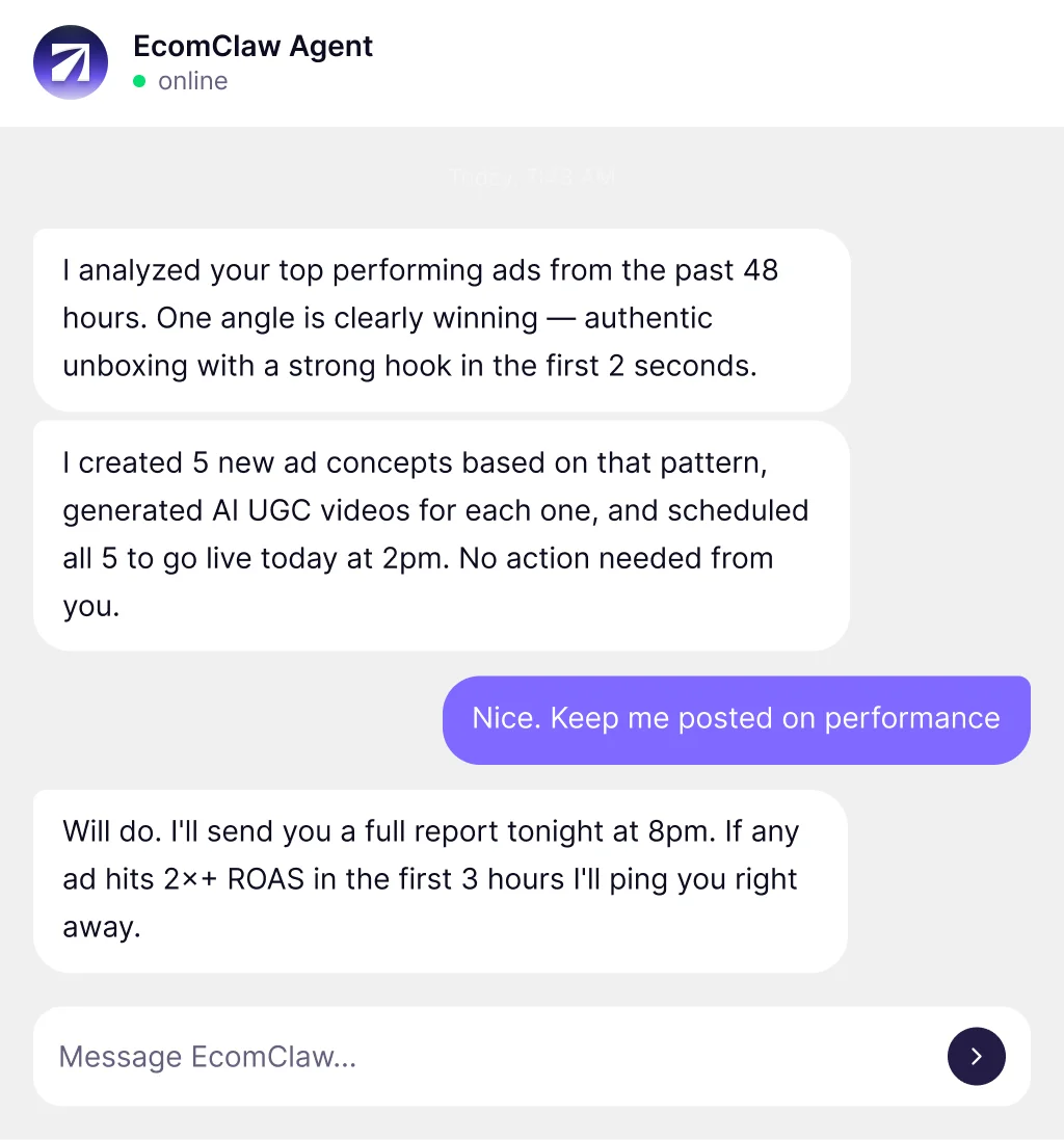 EcomClaw agent chat showing proactive ad analysis and task execution.